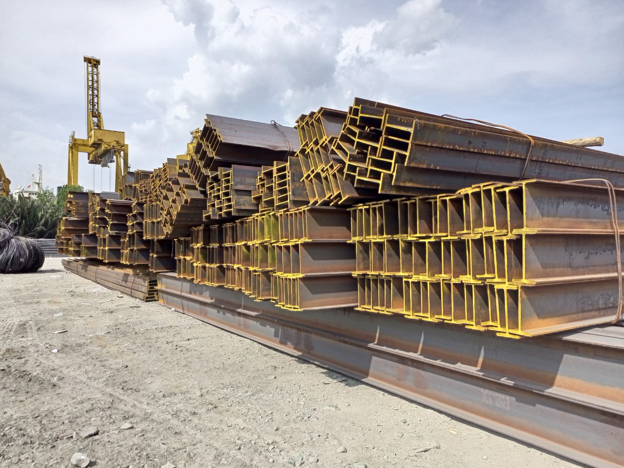 5143ced20f8aafd4f69b 1